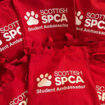 Scottish animal charity, University of Dundee students, The Scottish SPCA, Lesley Toles, Scottish SPCA’s Volunteering Programme