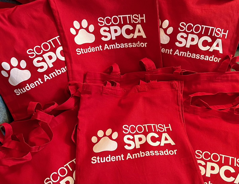 Scottish animal charity, University of Dundee students, The Scottish SPCA, Lesley Toles, Scottish SPCA’s Volunteering Programme