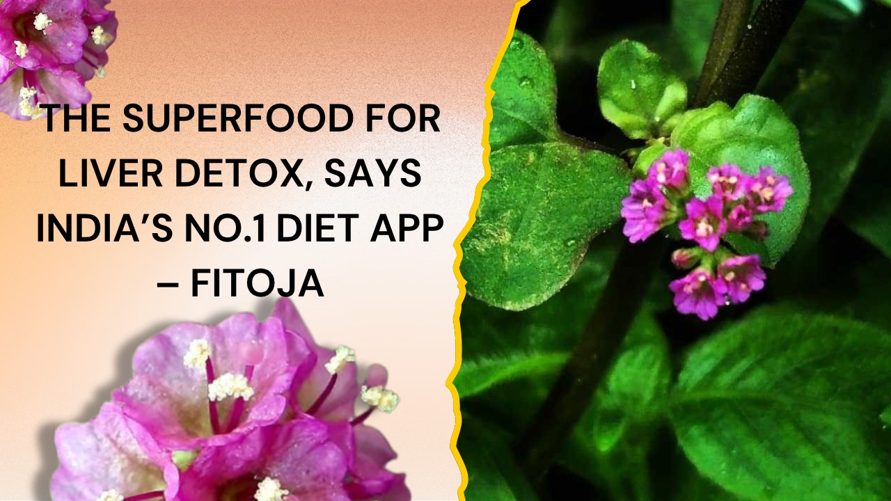 Punarnava The Ayurvedic Herb Backed by India’s No.1 Diet App for Powerful Liver Detox