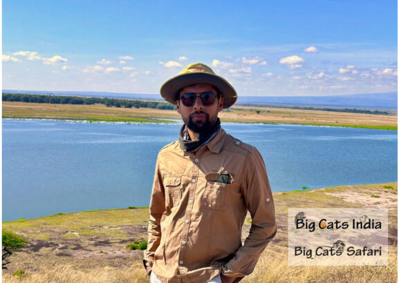 Krunal Patel, Big Cats India, Big Cats Safari, World’s Big Cat Kingdoms,