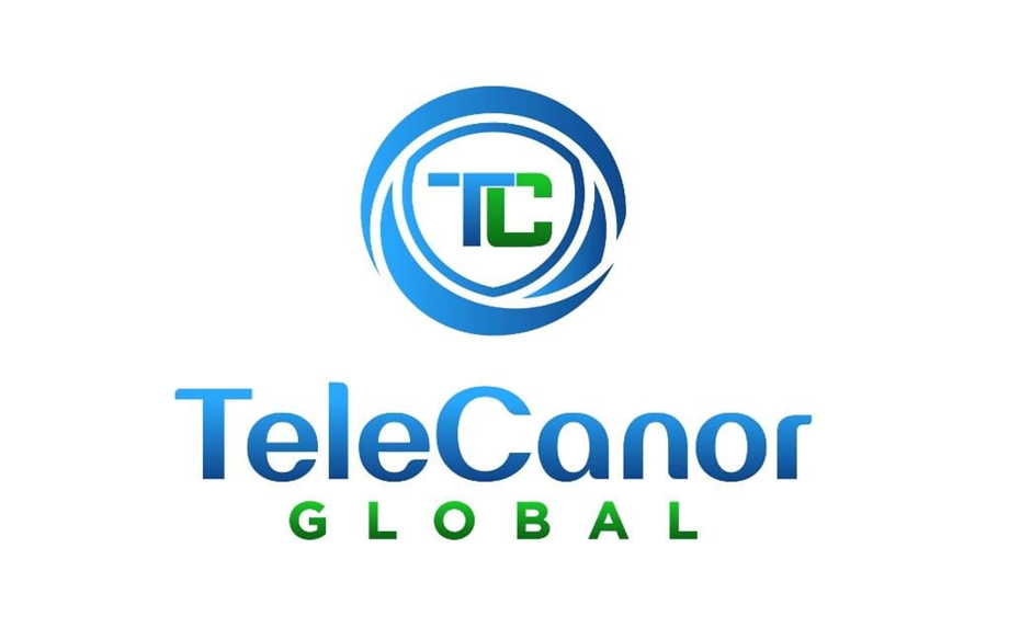 From Dormancy to Profit Engine Telecanor Global Reports Its Strongest Quarter in Three Years with PAT Up 2300 Per