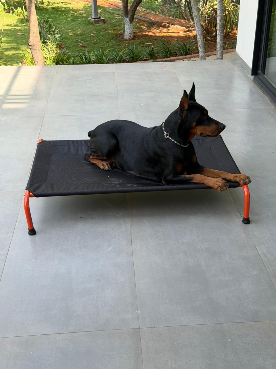 CanineJoy, Rachit Khattar, Utkarsh Tomar,
